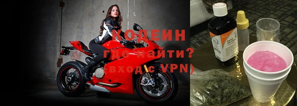 стафф Иннополис