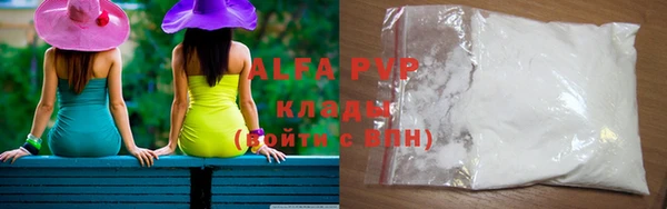 стафф Иннополис