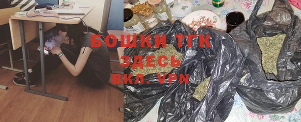 прущие крисы Каменка