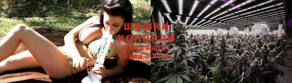 каннабис Инта