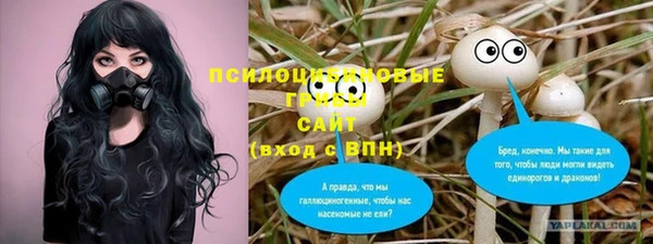 стафф Иннополис