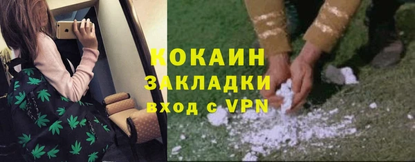стафф Иннополис