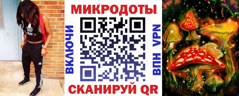 Купить  Харабали  Галлюциногенные грибы Psilocybine cubensis 